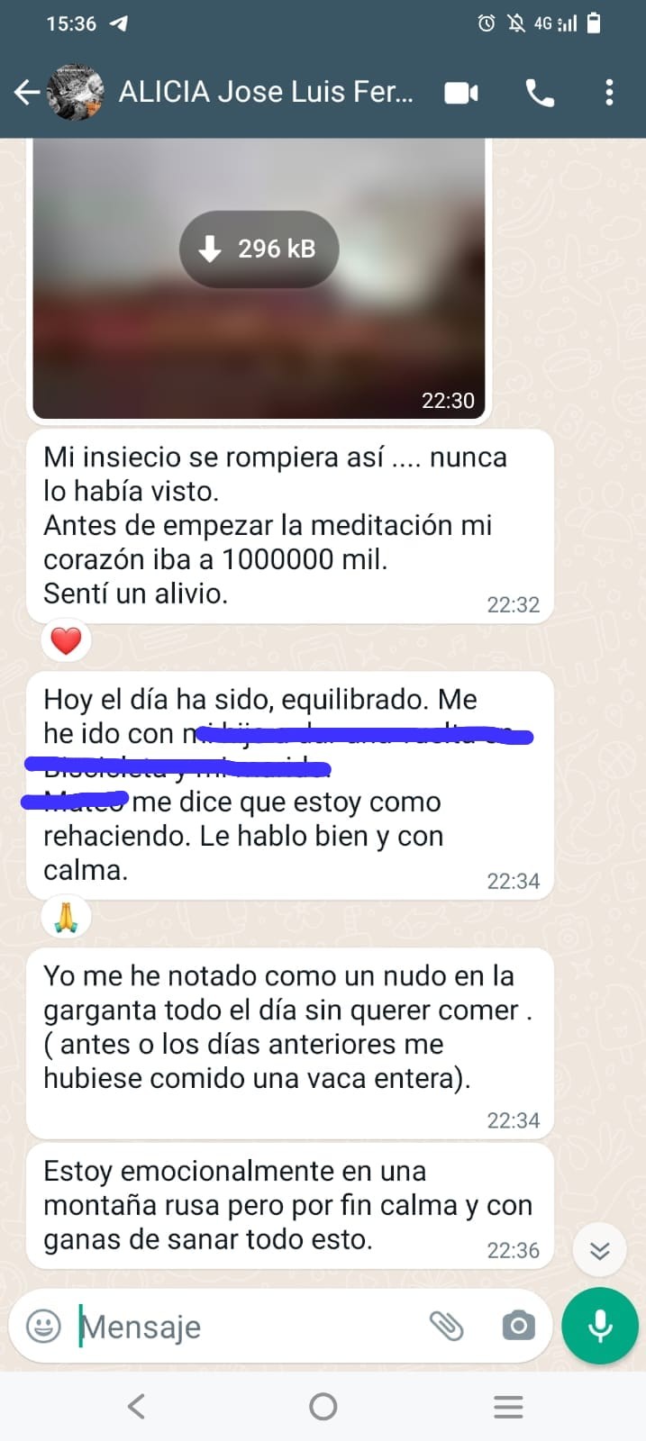 alicia luis fer 1