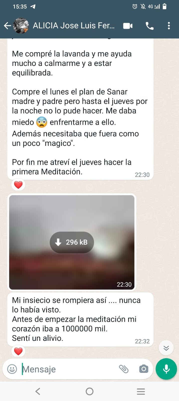 alicia luis fer 2