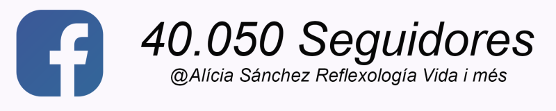 seguidores facebook